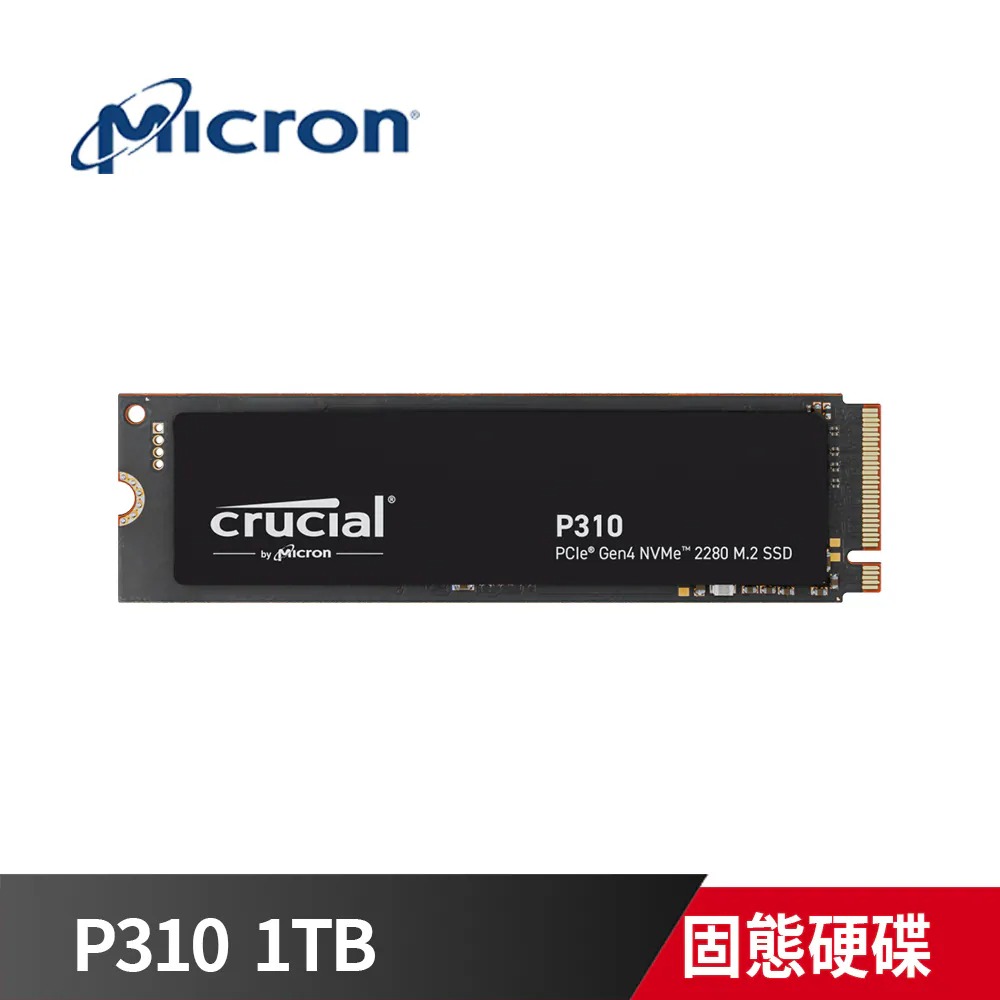 P310 1TB